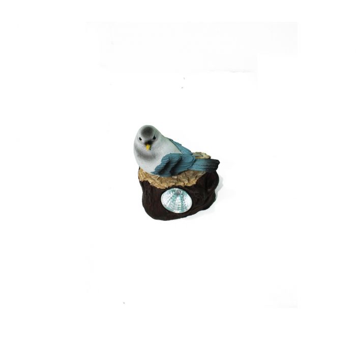 Garden Decor SLR 1857 - www.FOP.ae Buy online Best and Healthy Plants and quality products guarantee in Dubai Plants Shop in Dubai Abu Dhabi all over UAE Plants near me Fresh Plants in Dubai where to buy plants in UAE - FOP.ae