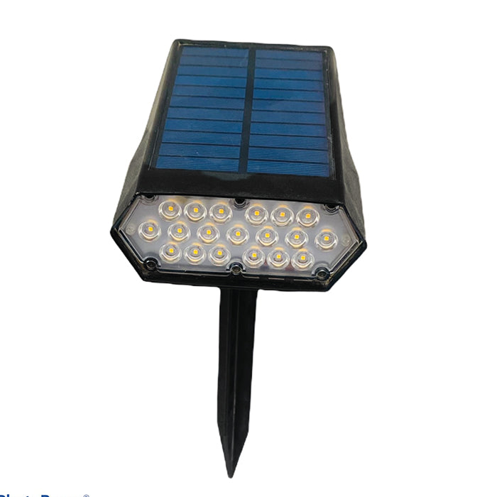 Solar Spot Light 19LED - www.FOP.ae Buy online Best and Healthy Plants and quality products guarantee in Dubai Plants Shop in Dubai Abu Dhabi all over UAE Plants near me Fresh Plants in Dubai where to buy plants in UAE - FOP.ae