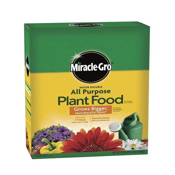 Miracle-Gro Water Soluble All Purpose Plant Food - www.FOP.ae Buy online Best and Healthy Plants and quality products guarantee in Dubai Plants Shop in Dubai Abu Dhabi all over UAE Plants near me Fresh Plants in Dubai where to buy plants in UAE - FOP.ae