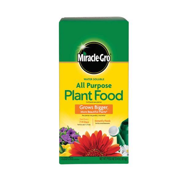 Miracle-Gro Water Soluble All Purpose Plant Food - www.FOP.ae Buy online Best and Healthy Plants and quality products guarantee in Dubai Plants Shop in Dubai Abu Dhabi all over UAE Plants near me Fresh Plants in Dubai where to buy plants in UAE - FOP.ae