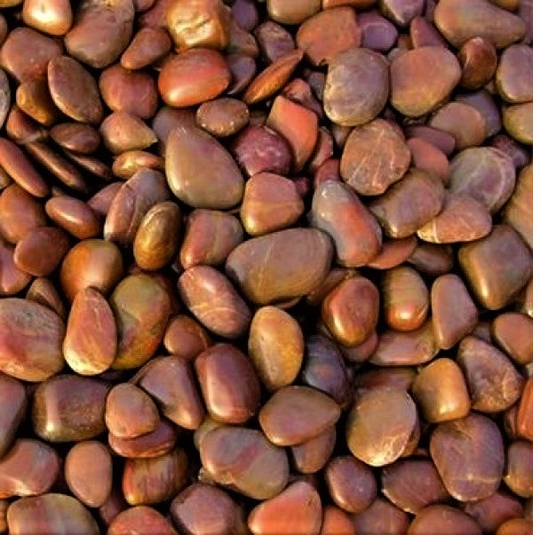 Pebbles Brown / Red 3-5cm - www.FOP.ae Buy online Best and Healthy Plants and quality products guarantee in Dubai Plants Shop in Dubai Abu Dhabi all over UAE Plants near me Fresh Plants in Dubai where to buy plants in UAE - FOP.ae