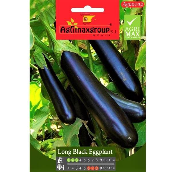 Long Black Eggplant Seeds - www.FOP.ae Buy online Best and Healthy Plants and quality products guarantee in Dubai Plants Shop in Dubai Abu Dhabi all over UAE Plants near me Fresh Plants in Dubai where to buy plants in UAE - FOP.ae
