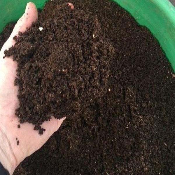 Black Gold Organic Vermi Fertilizer - www.FOP.ae Buy online Best and Healthy Plants and quality products guarantee in Dubai Plants Shop in Dubai Abu Dhabi all over UAE Plants near me Fresh Plants in Dubai where to buy plants in UAE - FOP.ae
