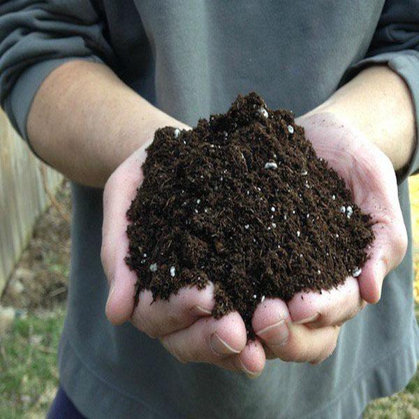 GARDENER’S Planting Mix Potting Soil - www.FOP.ae Buy online Best and Healthy Plants and quality products guarantee in Dubai Plants Shop in Dubai Abu Dhabi all over UAE Plants near me Fresh Plants in Dubai where to buy plants in UAE - FOP.ae
