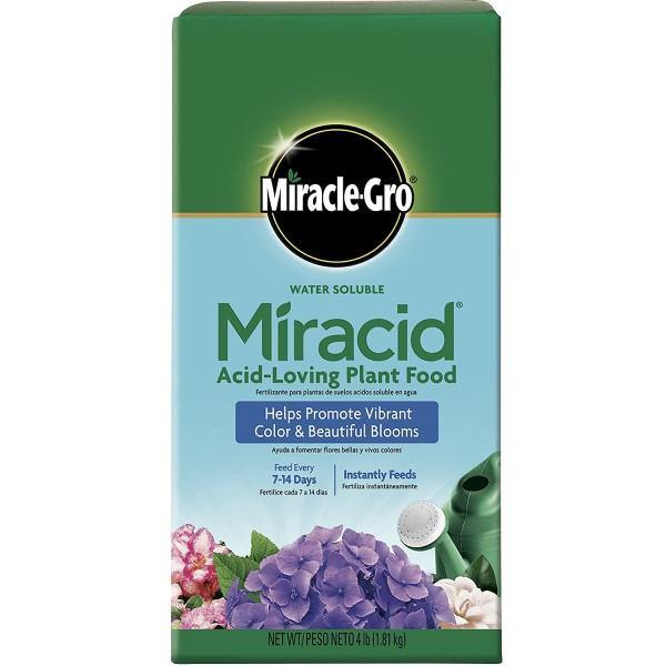 Miracle-Gro Acid-Loving Plant Food - www.FOP.ae Buy online Best and Healthy Plants and quality products guarantee in Dubai Plants Shop in Dubai Abu Dhabi all over UAE Plants near me Fresh Plants in Dubai where to buy plants in UAE - FOP.ae