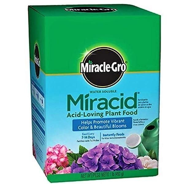 Miracle-Gro Acid-Loving Plant Food - www.FOP.ae Buy online Best and Healthy Plants and quality products guarantee in Dubai Plants Shop in Dubai Abu Dhabi all over UAE Plants near me Fresh Plants in Dubai where to buy plants in UAE - FOP.ae