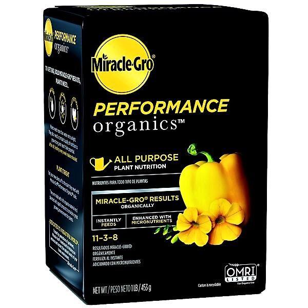 Miracle-Gro All Purpose Plant Nutrition - www.FOP.ae Buy online Best and Healthy Plants and quality products guarantee in Dubai Plants Shop in Dubai Abu Dhabi all over UAE Plants near me Fresh Plants in Dubai where to buy plants in UAE - FOP.ae