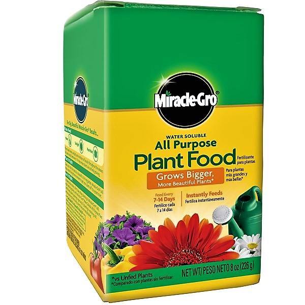 Miracle-Gro Water Soluble All Purpose Plant Food - www.FOP.ae Buy online Best and Healthy Plants and quality products guarantee in Dubai Plants Shop in Dubai Abu Dhabi all over UAE Plants near me Fresh Plants in Dubai where to buy plants in UAE - FOP.ae