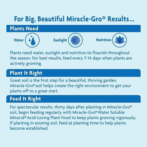 Miracle-Gro Acid-Loving Plant Food - www.FOP.ae Buy online Best and Healthy Plants and quality products guarantee in Dubai Plants Shop in Dubai Abu Dhabi all over UAE Plants near me Fresh Plants in Dubai where to buy plants in UAE - FOP.ae
