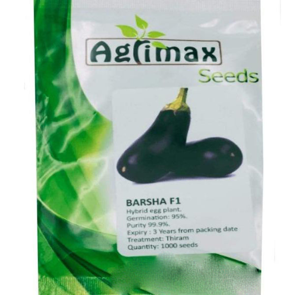 Egg Plant Barsha F1 Premium Quality Seeds - www.FOP.ae Buy online Best and Healthy Plants and quality products guarantee in Dubai Plants Shop in Dubai Abu Dhabi all over UAE Plants near me Fresh Plants in Dubai where to buy plants in UAE - FOP.ae