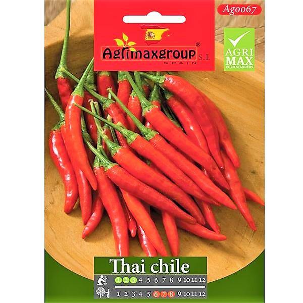 Thai Chili Seeds - www.FOP.ae Buy online Best and Healthy Plants and quality products guarantee in Dubai Plants Shop in Dubai Abu Dhabi all over UAE Plants near me Fresh Plants in Dubai where to buy plants in UAE - FOP.ae