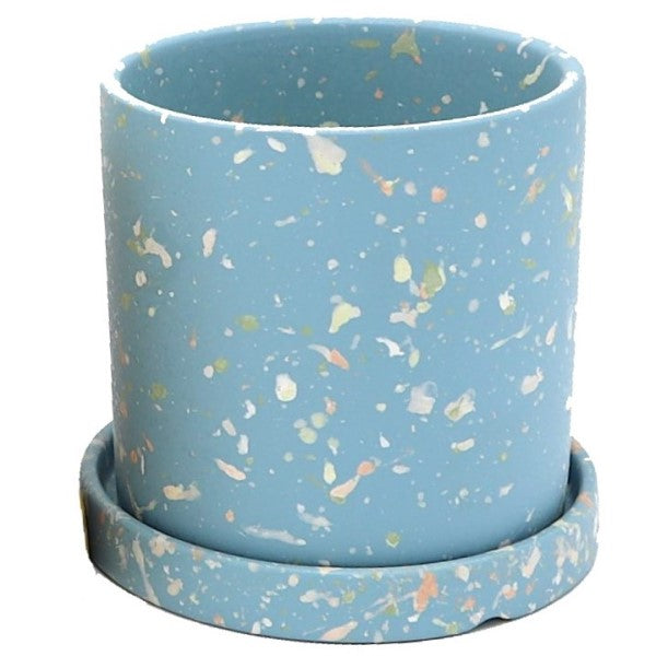 Ceramic Pot with Contrast Dots - www.FOP.ae Buy online Best and Healthy Plants and quality products guarantee in Dubai Plants Shop in Dubai Abu Dhabi all over UAE Plants near me Fresh Plants in Dubai where to buy plants in UAE - FOP.ae