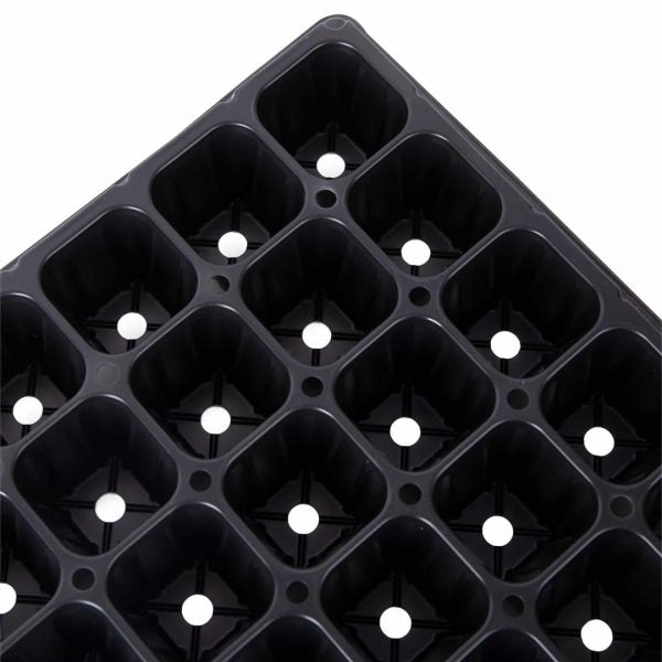 Plastic Seed Germination Tray For Hydroponic | Made in Korea - www.FOP.ae Buy online Best and Healthy Plants and quality products guarantee in Dubai Plants Shop in Dubai Abu Dhabi all over UAE Plants near me Fresh Plants in Dubai where to buy plants in UAE - FOP.ae