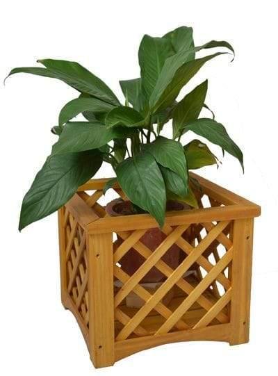Handmade Cross Planter Keeper - www.FOP.ae Buy online Best and Healthy Plants and quality products guarantee in Dubai Plants Shop in Dubai Abu Dhabi all over UAE Plants near me Fresh Plants in Dubai where to buy plants in UAE - FOP.ae