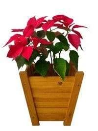 Handmade Wakhla Planter Keeper - www.FOP.ae Buy online Best and Healthy Plants and quality products guarantee in Dubai Plants Shop in Dubai Abu Dhabi all over UAE Plants near me Fresh Plants in Dubai where to buy plants in UAE - FOP.ae