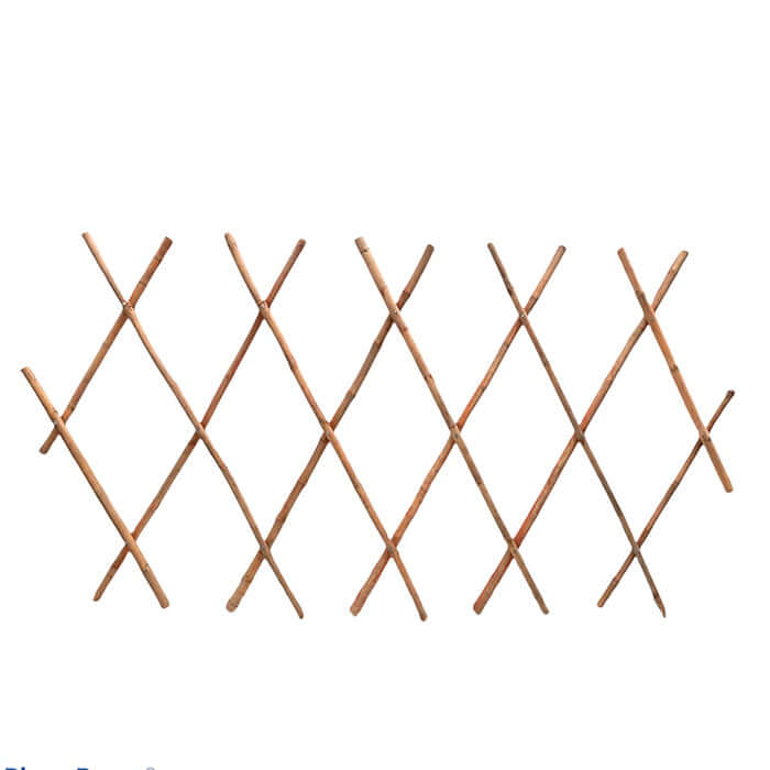 Bamboo Trellis - www.FOP.ae Buy online Best and Healthy Plants and quality products guarantee in Dubai Plants Shop in Dubai Abu Dhabi all over UAE Plants near me Fresh Plants in Dubai where to buy plants in UAE - FOP.ae