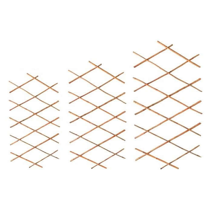 Bamboo Trellis - www.FOP.ae Buy online Best and Healthy Plants and quality products guarantee in Dubai Plants Shop in Dubai Abu Dhabi all over UAE Plants near me Fresh Plants in Dubai where to buy plants in UAE - FOP.ae