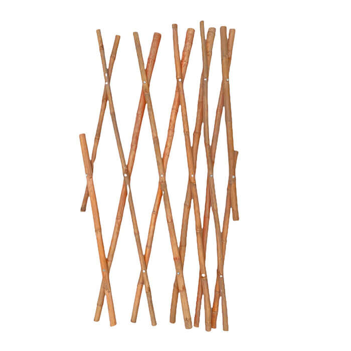 Bamboo Trellis - www.FOP.ae Buy online Best and Healthy Plants and quality products guarantee in Dubai Plants Shop in Dubai Abu Dhabi all over UAE Plants near me Fresh Plants in Dubai where to buy plants in UAE - FOP.ae