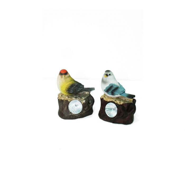 Garden Decor SLR 1857 - www.FOP.ae Buy online Best and Healthy Plants and quality products guarantee in Dubai Plants Shop in Dubai Abu Dhabi all over UAE Plants near me Fresh Plants in Dubai where to buy plants in UAE - FOP.ae