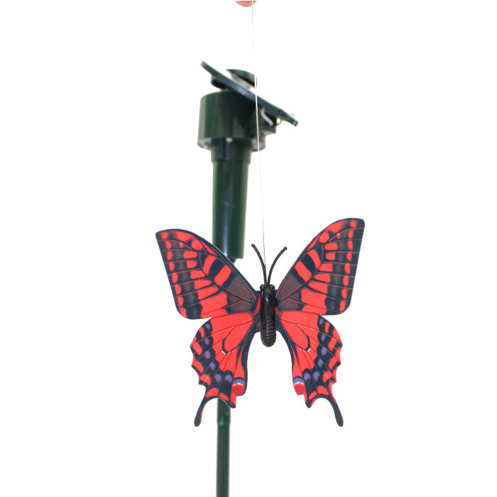 Solar Butterfly Stake - www.FOP.ae Buy online Best and Healthy Plants and quality products guarantee in Dubai Plants Shop in Dubai Abu Dhabi all over UAE Plants near me Fresh Plants in Dubai where to buy plants in UAE - FOP.ae