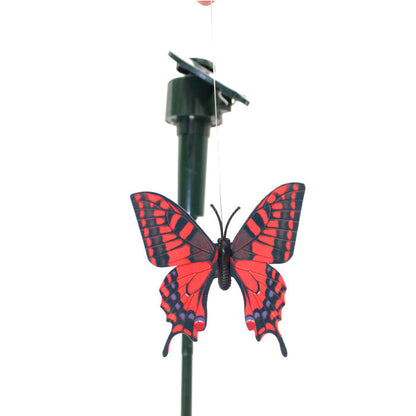 Solar Butterfly Stake - www.FOP.ae Buy online Best and Healthy Plants and quality products guarantee in Dubai Plants Shop in Dubai Abu Dhabi all over UAE Plants near me Fresh Plants in Dubai where to buy plants in UAE - FOP.ae