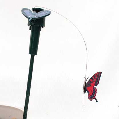 Solar Butterfly Stake - www.FOP.ae Buy online Best and Healthy Plants and quality products guarantee in Dubai Plants Shop in Dubai Abu Dhabi all over UAE Plants near me Fresh Plants in Dubai where to buy plants in UAE - FOP.ae