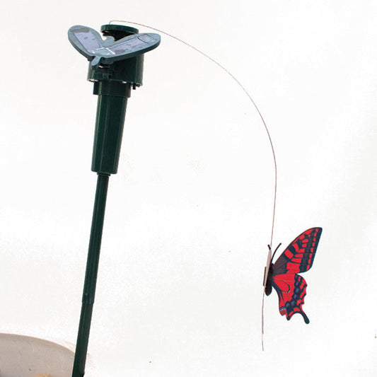 Solar Butterfly Stake - www.FOP.ae Buy online Best and Healthy Plants and quality products guarantee in Dubai Plants Shop in Dubai Abu Dhabi all over UAE Plants near me Fresh Plants in Dubai where to buy plants in UAE - FOP.ae
