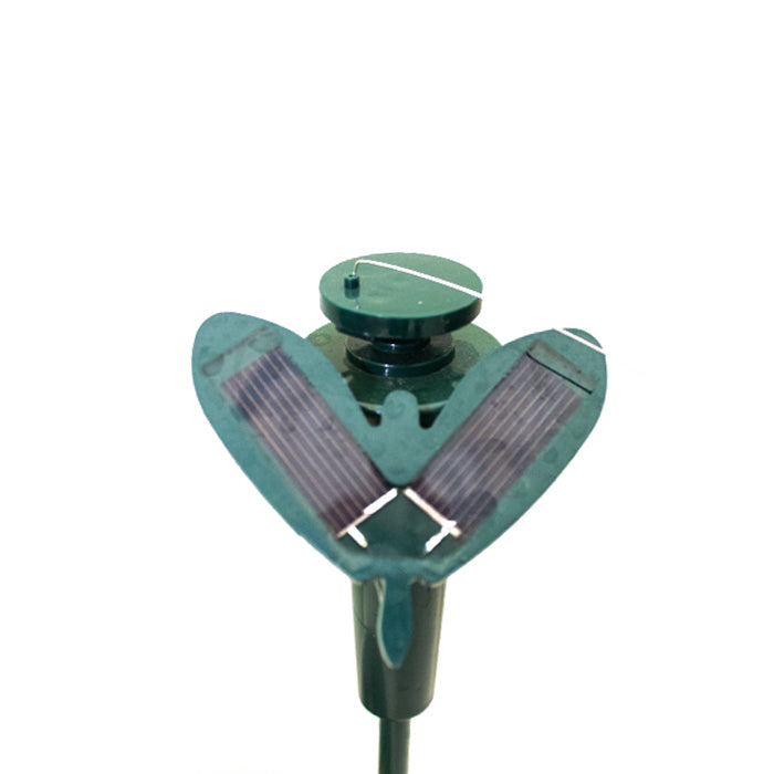 Solar Butterfly Stake - www.FOP.ae Buy online Best and Healthy Plants and quality products guarantee in Dubai Plants Shop in Dubai Abu Dhabi all over UAE Plants near me Fresh Plants in Dubai where to buy plants in UAE - FOP.ae