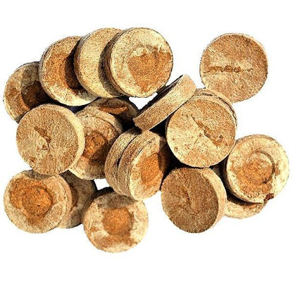 Peat Pellets or Peat Seeds Starters - www.FOP.ae Buy online Best and Healthy Plants and quality products guarantee in Dubai Plants Shop in Dubai Abu Dhabi all over UAE Plants near me Fresh Plants in Dubai where to buy plants in UAE - FOP.ae
