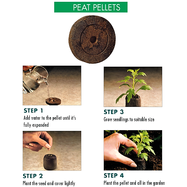 Peat Pellets or Peat Seeds Starters - www.FOP.ae Buy online Best and Healthy Plants and quality products guarantee in Dubai Plants Shop in Dubai Abu Dhabi all over UAE Plants near me Fresh Plants in Dubai where to buy plants in UAE - FOP.ae