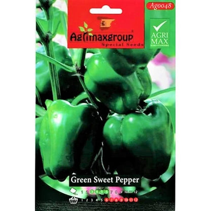 Green Sweet Pepper Seeds - www.FOP.ae Buy online Best and Healthy Plants and quality products guarantee in Dubai Plants Shop in Dubai Abu Dhabi all over UAE Plants near me Fresh Plants in Dubai where to buy plants in UAE - FOP.ae