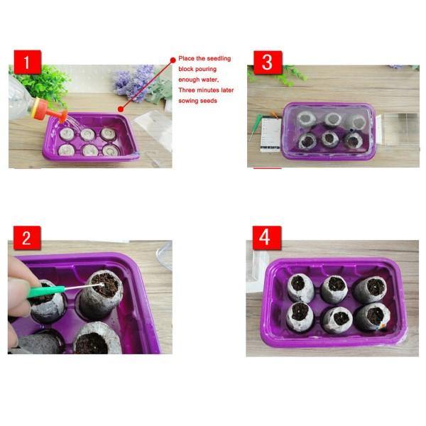 Peat Pellets or Peat Seeds Starters - www.FOP.ae Buy online Best and Healthy Plants and quality products guarantee in Dubai Plants Shop in Dubai Abu Dhabi all over UAE Plants near me Fresh Plants in Dubai where to buy plants in UAE - FOP.ae