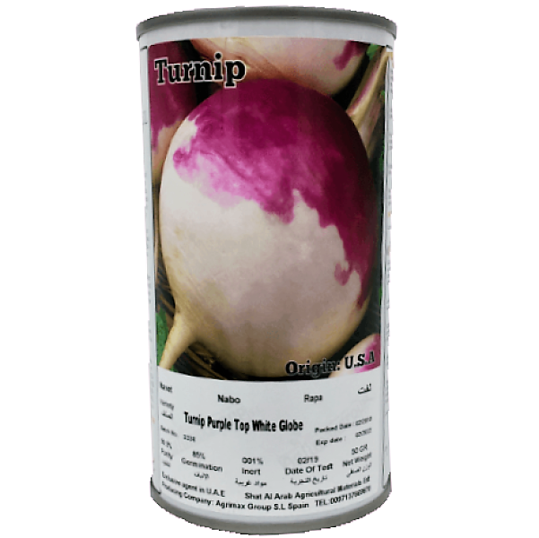 Turnip Purple Top White Globe Seeds Tin - www.FOP.ae Buy online Best and Healthy Plants and quality products guarantee in Dubai Plants Shop in Dubai Abu Dhabi all over UAE Plants near me Fresh Plants in Dubai where to buy plants in UAE - FOP.ae