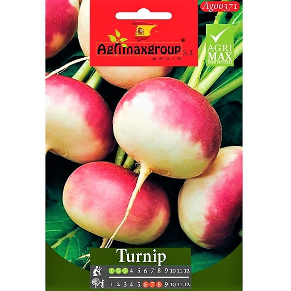 Turnip Seeds - www.FOP.ae Buy online Best and Healthy Plants and quality products guarantee in Dubai Plants Shop in Dubai Abu Dhabi all over UAE Plants near me Fresh Plants in Dubai where to buy plants in UAE - FOP.ae
