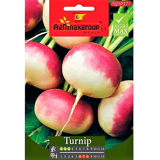 Turnip Seeds - www.FOP.ae Buy online Best and Healthy Plants and quality products guarantee in Dubai Plants Shop in Dubai Abu Dhabi all over UAE Plants near me Fresh Plants in Dubai where to buy plants in UAE - FOP.ae