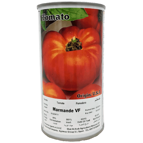 Tomato Marmande VF Seeds Tin - www.FOP.ae Buy online Best and Healthy Plants and quality products guarantee in Dubai Plants Shop in Dubai Abu Dhabi all over UAE Plants near me Fresh Plants in Dubai where to buy plants in UAE - FOP.ae