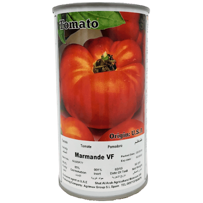 Tomato Marmande VF Seeds Tin - www.FOP.ae Buy online Best and Healthy Plants and quality products guarantee in Dubai Plants Shop in Dubai Abu Dhabi all over UAE Plants near me Fresh Plants in Dubai where to buy plants in UAE - FOP.ae