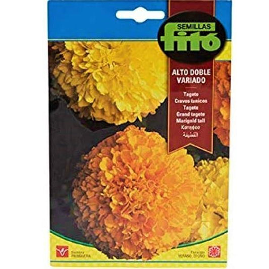 Marigold Tall Double Mix Seeds - www.FOP.ae Buy online Best and Healthy Plants and quality products guarantee in Dubai Plants Shop in Dubai Abu Dhabi all over UAE Plants near me Fresh Plants in Dubai where to buy plants in UAE - FOP.ae