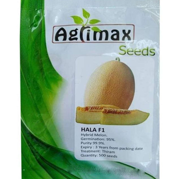 Hala F1 Hybrid Melon Premium Quality Seeds - www.FOP.ae Buy online Best and Healthy Plants and quality products guarantee in Dubai Plants Shop in Dubai Abu Dhabi all over UAE Plants near me Fresh Plants in Dubai where to buy plants in UAE - FOP.ae