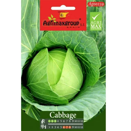 Cabbage Seeds - www.FOP.ae Buy online Best and Healthy Plants and quality products guarantee in Dubai Plants Shop in Dubai Abu Dhabi all over UAE Plants near me Fresh Plants in Dubai where to buy plants in UAE - FOP.ae