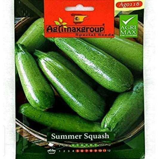 Summer Squash Seeds - www.FOP.ae Buy online Best and Healthy Plants and quality products guarantee in Dubai Plants Shop in Dubai Abu Dhabi all over UAE Plants near me Fresh Plants in Dubai where to buy plants in UAE - FOP.ae