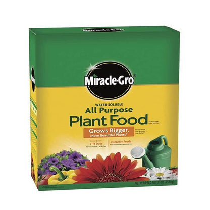 Miracle-Gro Water Soluble All Purpose Plant Food - www.FOP.ae Buy online Best and Healthy Plants and quality products guarantee in Dubai Plants Shop in Dubai Abu Dhabi all over UAE Plants near me Fresh Plants in Dubai where to buy plants in UAE - FOP.ae