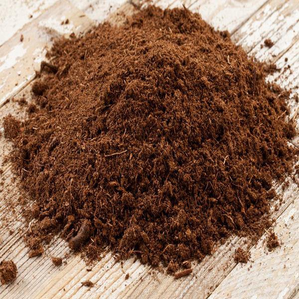 Organic Peat Moss based potting soil Substrate - www.FOP.ae Buy online Best and Healthy Plants and quality products guarantee in Dubai Plants Shop in Dubai Abu Dhabi all over UAE Plants near me Fresh Plants in Dubai where to buy plants in UAE - FOP.ae