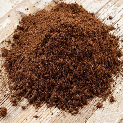 Organic Peat Moss based potting soil Substrate - www.FOP.ae Buy online Best and Healthy Plants and quality products guarantee in Dubai Plants Shop in Dubai Abu Dhabi all over UAE Plants near me Fresh Plants in Dubai where to buy plants in UAE - FOP.ae