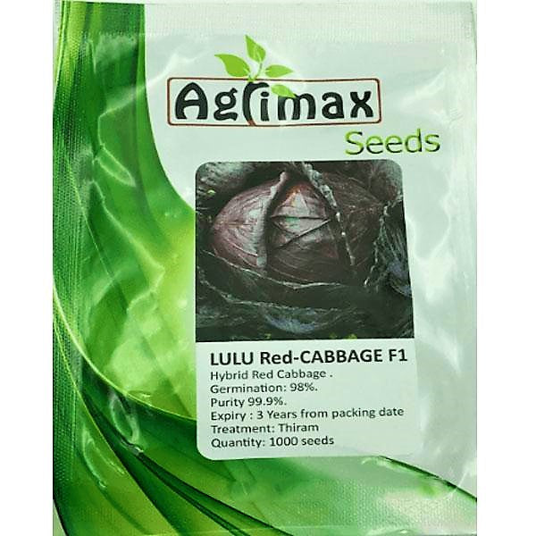 LULU Red Cabbage F1 Premium Quality Seeds - www.FOP.ae Buy online Best and Healthy Plants and quality products guarantee in Dubai Plants Shop in Dubai Abu Dhabi all over UAE Plants near me Fresh Plants in Dubai where to buy plants in UAE - FOP.ae
