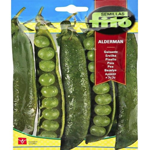 Pea Alderman Seeds - www.FOP.ae Buy online Best and Healthy Plants and quality products guarantee in Dubai Plants Shop in Dubai Abu Dhabi all over UAE Plants near me Fresh Plants in Dubai where to buy plants in UAE - FOP.ae