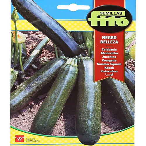 Summer Squash Negro Belleza 10g, Fito - www.FOP.ae Buy online Best and Healthy Plants and quality products guarantee in Dubai Plants Shop in Dubai Abu Dhabi all over UAE Plants near me Fresh Plants in Dubai where to buy plants in UAE - FOP.ae