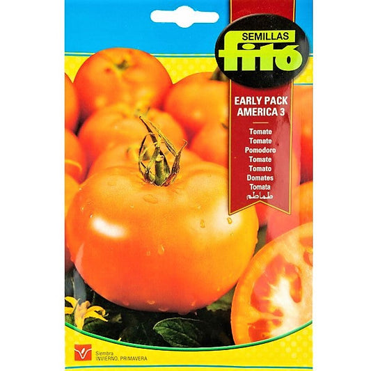 Tomato Early Pack America 3 Seeds - www.FOP.ae Buy online Best and Healthy Plants and quality products guarantee in Dubai Plants Shop in Dubai Abu Dhabi all over UAE Plants near me Fresh Plants in Dubai where to buy plants in UAE - FOP.ae