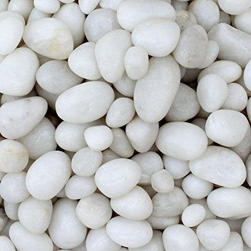 Snow white pebbles 20KG - www.FOP.ae Buy online Best and Healthy Plants and quality products guarantee in Dubai Plants Shop in Dubai Abu Dhabi all over UAE Plants near me Fresh Plants in Dubai where to buy plants in UAE - FOP.ae