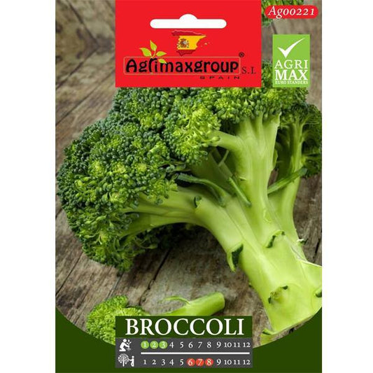 Broccoli Agrimax Seeds - www.FOP.ae Buy online Best and Healthy Plants and quality products guarantee in Dubai Plants Shop in Dubai Abu Dhabi all over UAE Plants near me Fresh Plants in Dubai where to buy plants in UAE - FOP.ae